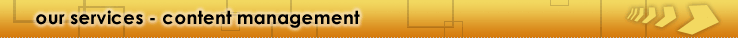 our services - content management