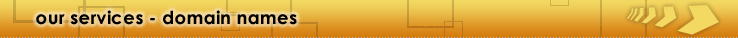 our services - domain names